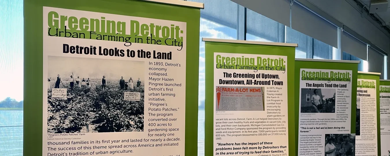 Greening Detroit close-up