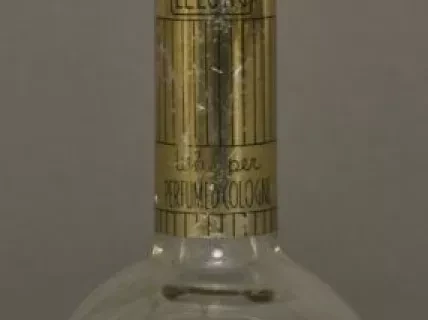 Bottle, Perfume