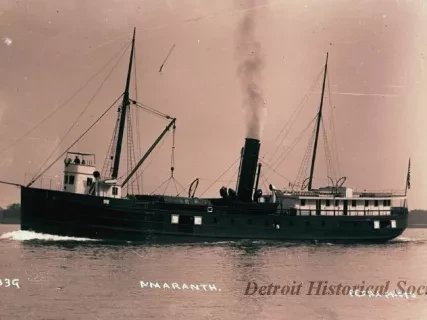 Negative, Glass-plate