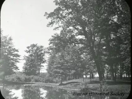 Transparency, Lantern-slide - Cattle Wallow - Palmer Park