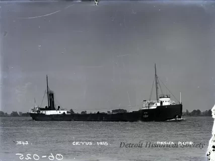 Negative, Glass-plate