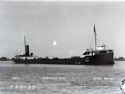 Negative, Glass-plate