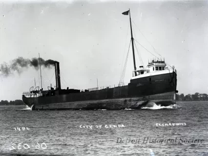 Negative, Glass-plate