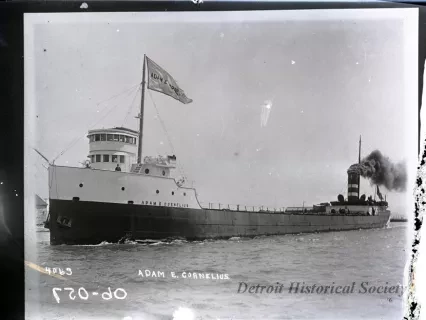 Negative, Glass-plate