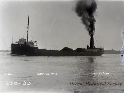 Negative, Glass-plate