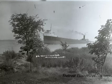 Negative, Glass-plate