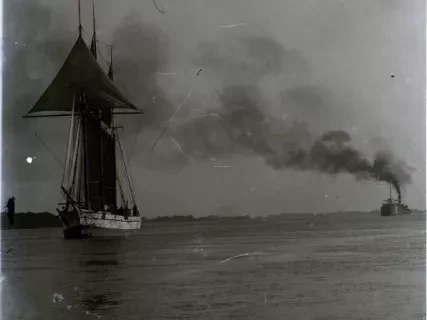 Negative, Glass-plate