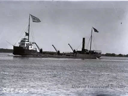 Negative, Glass-plate