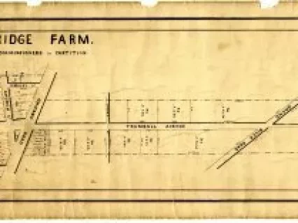 Map - Woodbridge Farm
As Divided by the Commissioners in Partition
