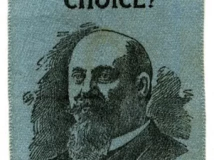 Ribbon, Political