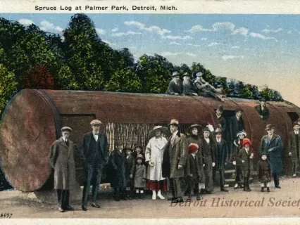 Postcard - Spruce Log at Palmer Park, Detroit, Mich.