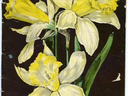 Catalog - Bulbs and Seeds, Autumn 1898