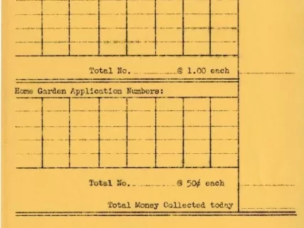 Report - Daily Application Report