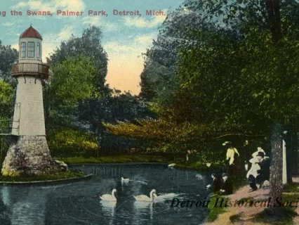 Postcard - Feeding the Swans, Palmer Park, Detroit, Mich.