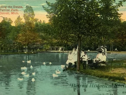 Postcard - Feeding the Swans, Palmer Park, Detroit, Mich.