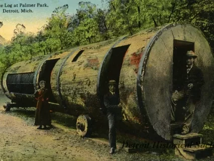 Postcard - Spruce Log at Palmer Park, Detroit, Mich.