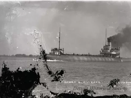 Negative, Glass-plate