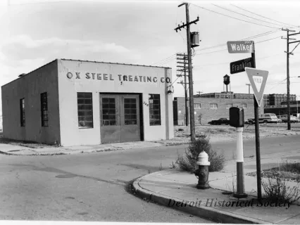 Print, Photographic - Looking Northeast