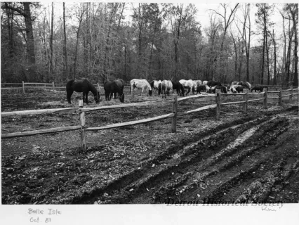 Print, Photographic - Belle Isle