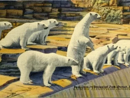 Postcard - Bear Dens in Zoological Park, Detroit, Mich.