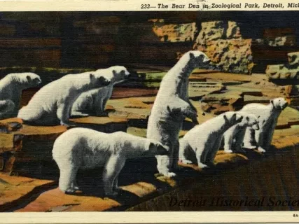 Postcard - The Bear Den in Zoological Park, Detroit, Mich.