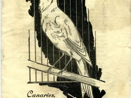 Booklet - Canaries, Cage Birds and Pet Animals
(Royce & Passmore)