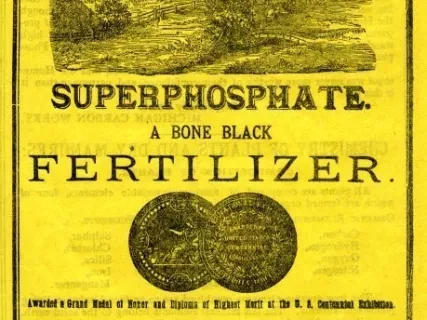 Advertisement - Superphosphate, A Bone Black Fertilizer.