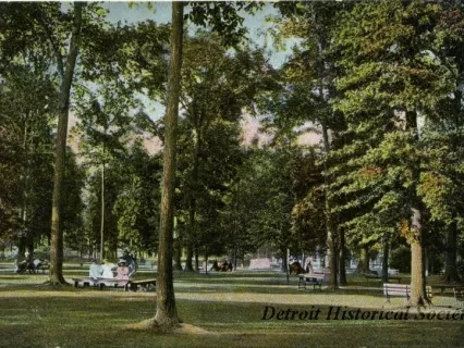 Postcard - Detroit, Mich, Under the Oaks in Autumn, Belle Isle.