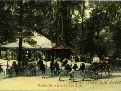 Postcard - Ponies, Belle Isle, Detroit, Mich.