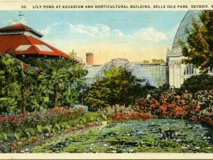 Postcard - Lily Pond at Aquarium and Horticultural Building, Belle Isle Park, Detroit, Mich.