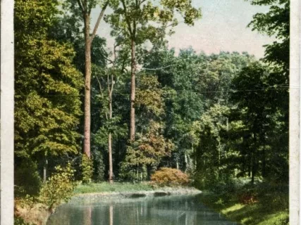 Postcard - Shady Canal, Belle Isle, Detroit, Mich.