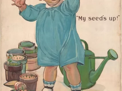 Poster - My Seeds Up!