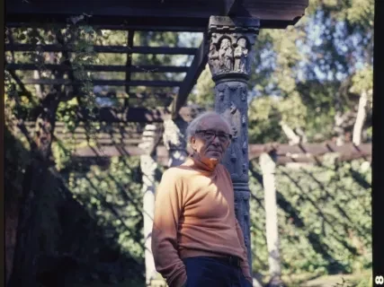 Transparency, Roll-film