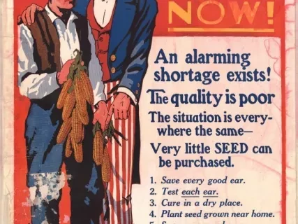 Poster - Save Seed Corn Now!