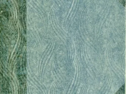 Book - Dexter Mason Ferry