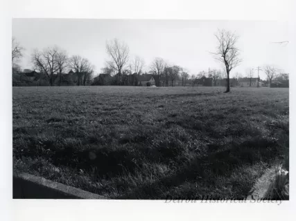 Print, Photographic - 2400 Block Selden and 3900 Block 16th, Detroit, Mi