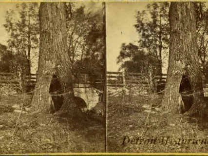 Stereograph - No. 85 Bloody Run