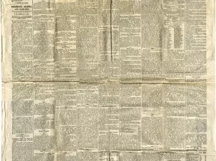 Newspaper - The Detroit Daily Post, Vol. 9, No. 80