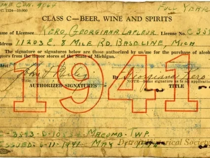 License, Occupational