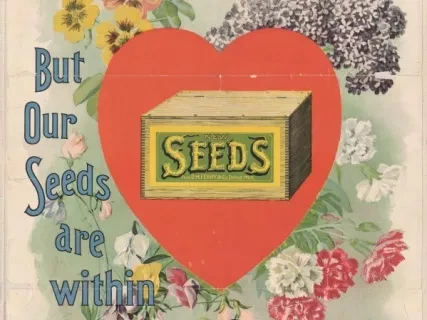 Poster - Nothing is Perfect