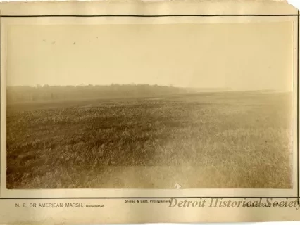 Print, Photographic - N.E. or American Marsh, Unreclaimed
