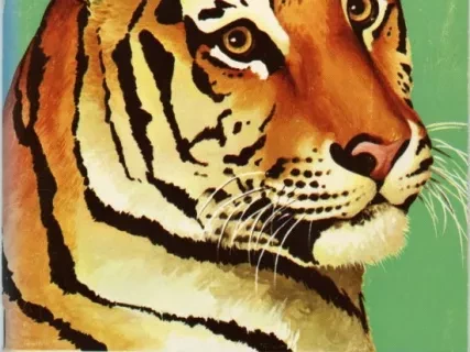 Guidebook - Guide Book of the Detroit Zoo