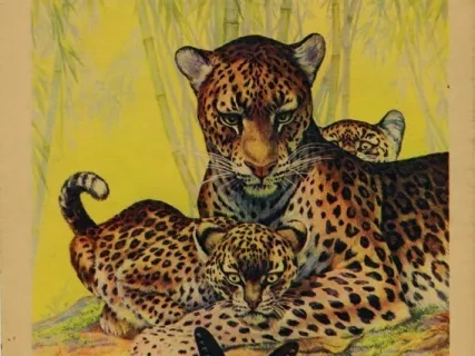 Magazine - This Week, Cleveland Plain Dealer, September 22, 1935