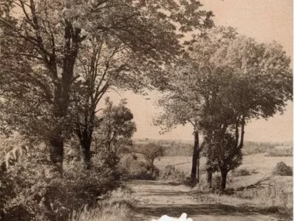 Magazine - The Hudsonian, Vol. 27, No. 7