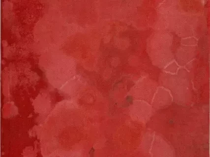 Catalog - Illustrated Price Book No. 30
The Michigan Stove Company