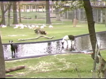 U-Matic - Belle Isle :60, :30