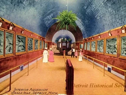Postcard - Interior Aquarium, Belle Isle, Detroit, Mich.