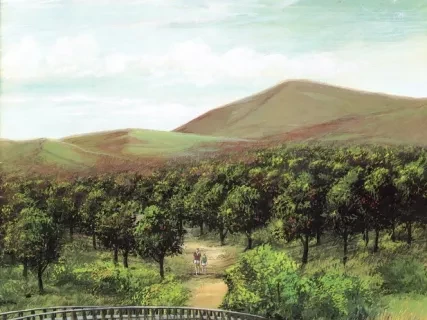 Newsletter - Monroe La-Z-News