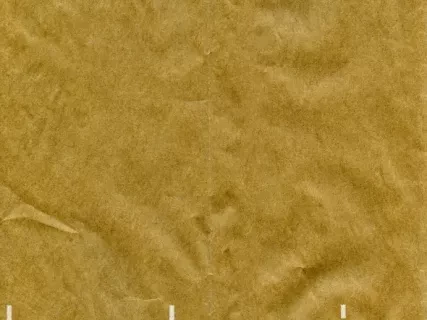 Bag, Shopping - Hudson's