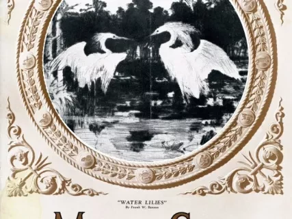 Magazine - The Main Sheet